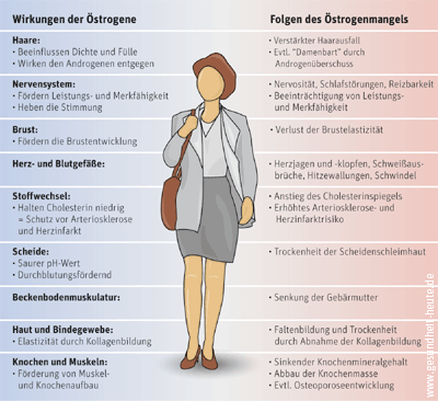 2322_asm-hormonelle-veraenderungen-in-den-wechseljahren-oestrogene-6204954